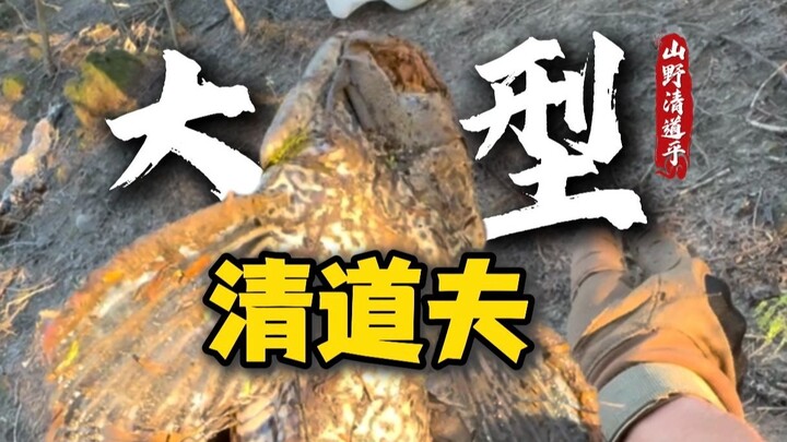 هل سبق لك أن رأيتَ زبالًا ذا ذراعين عريضين؟