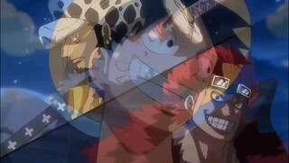 [AMV] 🔥Tất cả các thành viên của ONE PIECE và các combat cực gắt 🔥