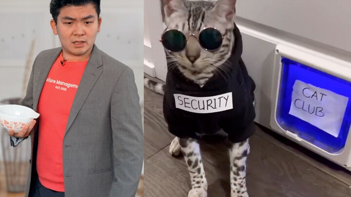 Khi mèo cưng nhà bạn là thiên tài kinh doanh [Steven He]