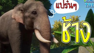 ช้างเอเชีย สัตว์โลกน่ารัก |  ช้างเอเชีย