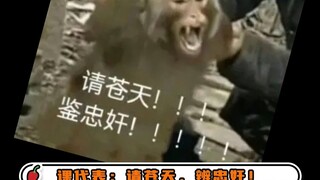 有点阴招，全使课代表身上了