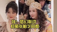 两个人的颜值对我的眼睛很友好 杨紫张柏芝罕见同框合影 好美啊 杨紫华天奴