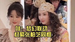 两个人的颜值对我的眼睛很友好 杨紫张柏芝罕见同框合影 好美啊 杨紫华天奴