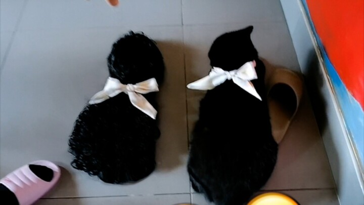 Sebenarnya yang mana sih wig-ku? Saat melihat akhir videonya, kamu pasti akan tertawa terbahak-bahak