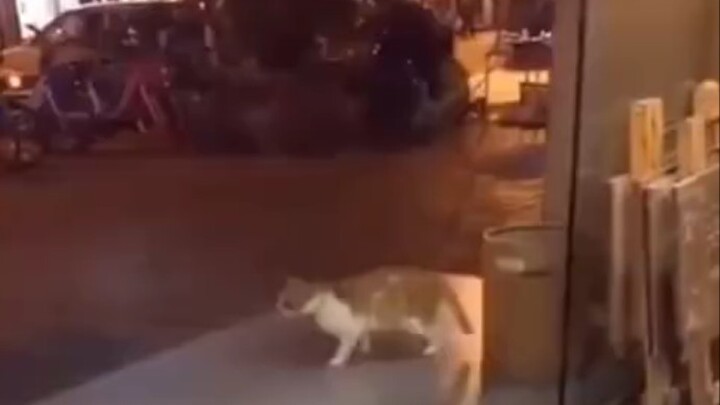 Langkah di Luar Angkasa
