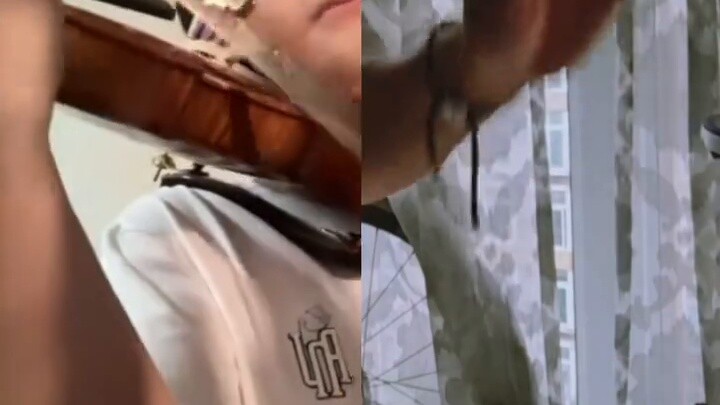 Xiaoti: Tôi có thể giết bạn mà không gặp bất hạnh! Sáo: Tôi có thể thổi sáo đến chết! Guitar: Tôi có