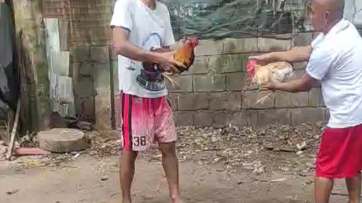 my bulik 7 month first bitaw