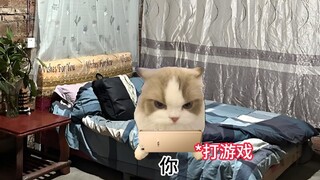 当老妈让我上山捡木材