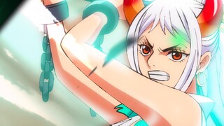 [One Piece] 11 super strong female warriors!!!
