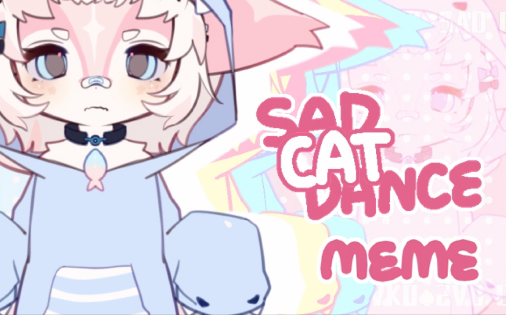 meme】SAD CAT DANCE animation meme - BiliBili