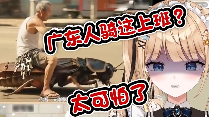 Cô gái mèo Nhật Bản đang xem "Người Quảng Đông đi làm với mái tóc đuôi ngựa đen" Người Quảng Đông có