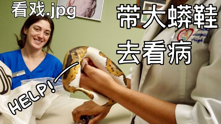 Have you ever heard a snake’s heartbeat? Canadian veterinarians are so cool!