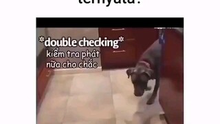 gw kira penyabar yg terakhir