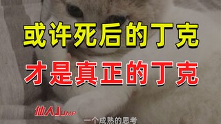【JUMP】لعبة غابة دينك المظلمة