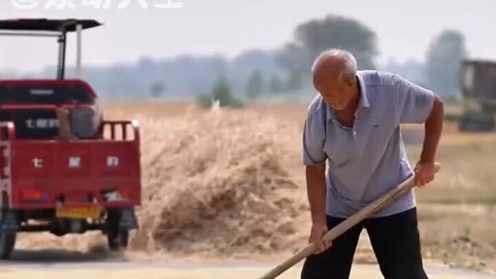 Nếu thực sự trời không phụ người chăm chỉ, thì những người giàu lên trước tiên phải là nông dân.