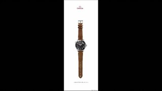 Omega Seamaster Planet Ocean 600M Co-Axial Master Chronometer Ref. 215.30.40.20.
