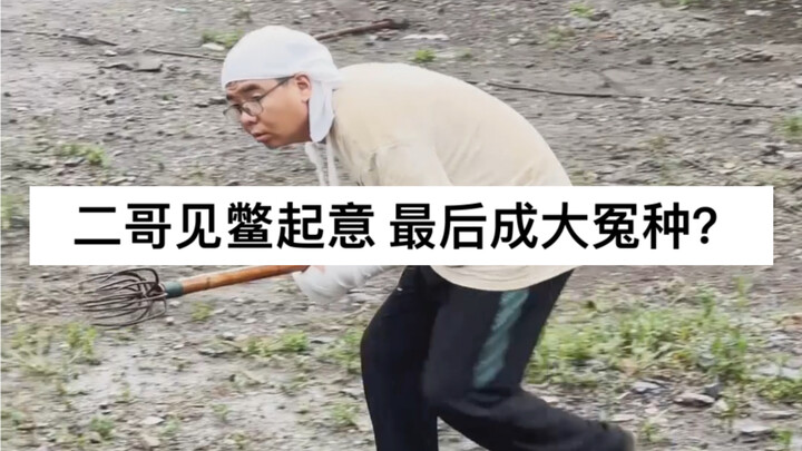 大家评评理，这回鸡冤、鳖冤还是二哥最冤？