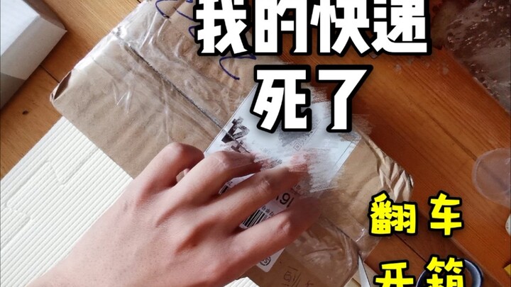 Operasi kurir yang luar biasa itu membunuh hewan peliharaan saya...