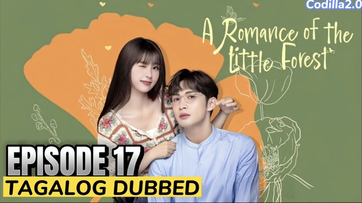 ᗩ ᖇOᗰᗩᑎᑕE Oᖴ TᕼE Little Forest 2022 Episode 17 Tagalog Dubbed HD