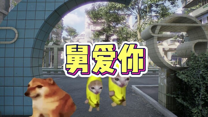 Kucing Pisang Mencari Ayah