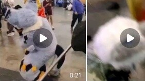 ราชาลิงแห่งนิทรรศการการ์ตูนหนานหนิง มาแล้ว! พูดไม่ออก เขายังยิงปืนใหญ่แผนที่... ฉันมั่นใจจริงๆ