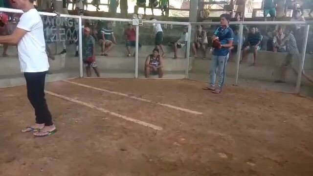 #win#tinola lines🤷