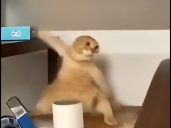 The path I’m meant to take is right beneath my feet, and the breath I need to exhale is already in m