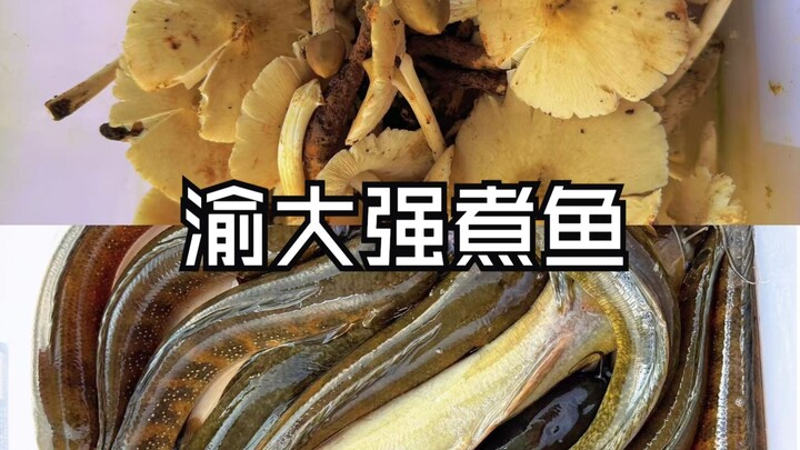 นำปลาที่จับได้มาทำเป็นอาหารอร่อย สดมาก!
