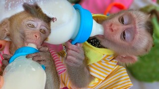 Most Beautiful Moment!! So cute & Lovely when adorable Toto & Yaya drinking milk together