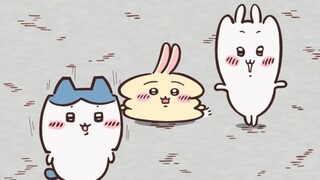 chiikawa|三小只变回来的过程真的太抽象了