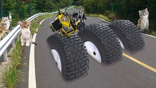 Banana Cat delivers food and accidentally ends up in a motorcycle obstacle course!