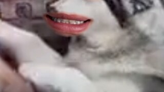 جدتي، أنا لست جائعًا حقًا.
