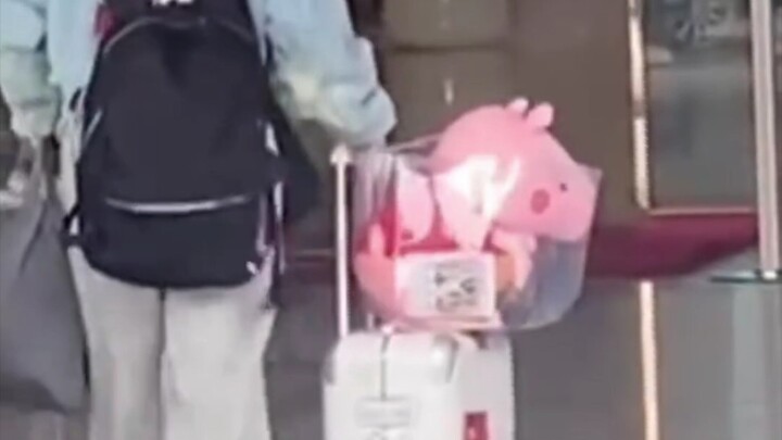 Yang Mi checked in at the airport carrying a Peppa Pig plushie gifted by Liu Yaowen—what a huge pig!