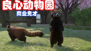 واو! هناك باندا حمراء في حديقة الحيوانات! #7
