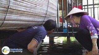 "VỚT CÁ SẶC KIỂU NÀY" Chỉ Có Ở Vườn Anh Chị Phúc | Hội Ngộ Miền Tây - Tập 584