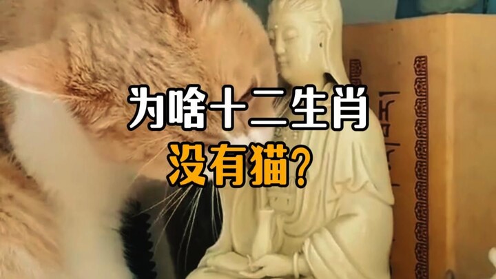 ทำไมในจักรราศีจีนถึงไม่มีแมว?