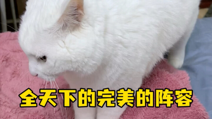 The Most Perfect Lineup in the World