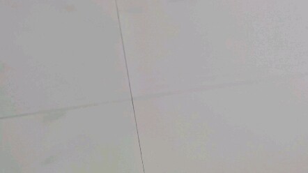 أغفلتُ شيئًا واحدًا: في الواقع، لا يُسمح لللاعبين المحترفين بالمشاركة...