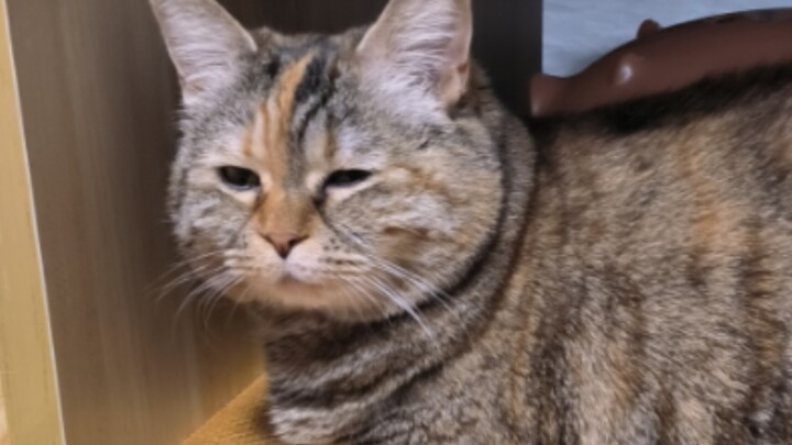 عيد سعيد يا أمي، متى نبدأ الأكل؟