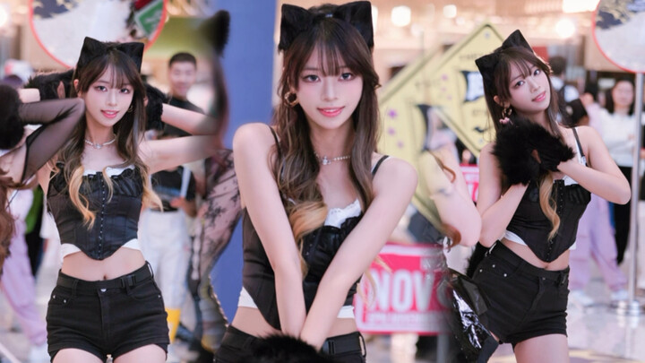 【Bước chân mèo nhẹ nhàng - AOA | Liệu mèo con cũng có thể bị đuôi mình quấn lấy không ^›⩊‹^ ੭ 】