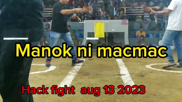 Manok ni macmac aug 13 2023 hack fight
