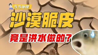 Sa mạc khô cằn bỗng nhiên được bao phủ bởi lớp vỏ giòn tan do lũ lụt. Nó hình thành như thế nào? [Đị