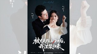 XIN LỖI, TÔI CHỈ ĐÀM PHÁN CHỨ KHÔNG NÓI CHUYỆN TÌNH CẢM