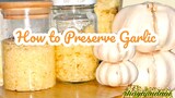 How to Preserve minced Garlic with oil in easy way
