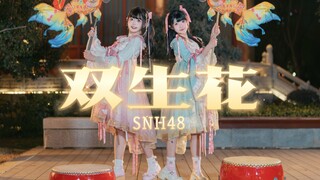 【KikoX晨仔】前方高甜！这么可爱的年画娃娃居然有两只o(≧v≦)o｜双生花｜SNH48