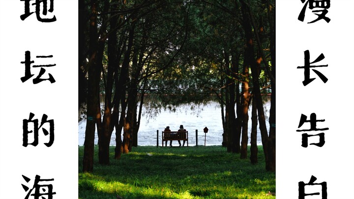 我在“地坛的海”前，拍到一场漫长的告白