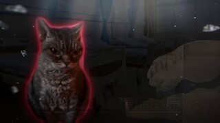 Your superpower: Eat anything?