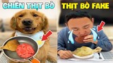 Thú Cưng Vlog | TỒ TỒ Đại Náo Bố #3 | Chó thông minh vui nhộn | Smart dog funny pets