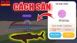 Thời Gian Xuất Hiện Tất Cả Cá Vip Trong Hố Xanh, Cách Săn Thành Công 100% | Play Together