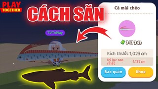 Thời Gian Xuất Hiện Tất Cả Cá Vip Trong Hố Xanh, Cách Săn Thành Công 100% | Play Together